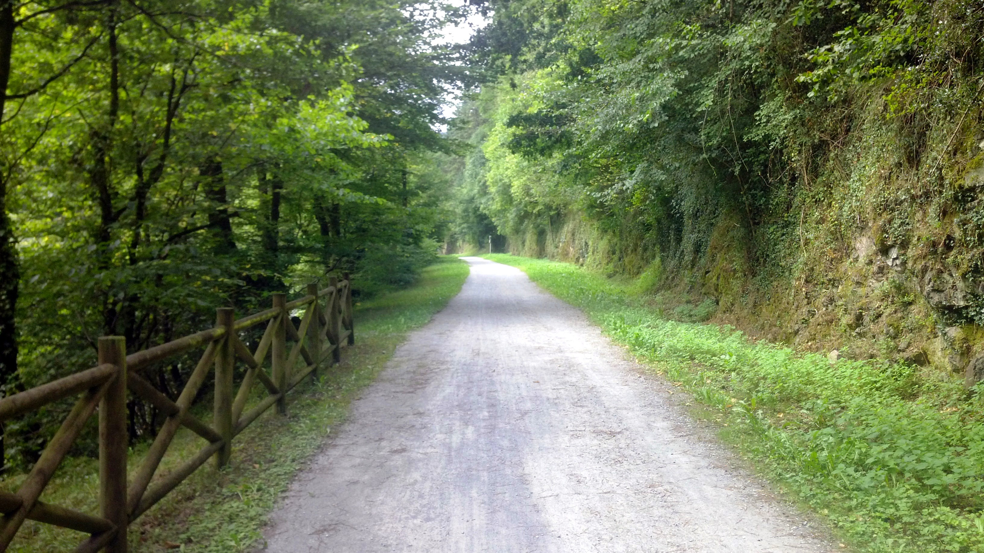 Camino en solitario para pensar en la depresión, y en la necesidad de recorrerlo con más gente.